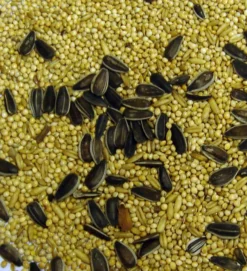 Bartholomews Colonels®Cockatiel Bird Seed Mix 20kg (Short Date 23rd January - REDUCED PRICING)