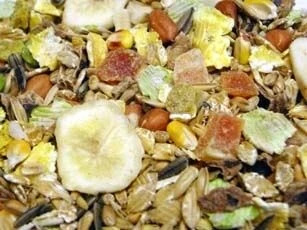 Countrywide Hamster Mix Raspberry 20kg 2 Countrywide Hamster Mix Raspberry 20kg - Image 2