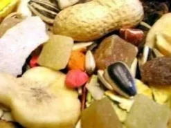 2 X 12.5kg Willsbridge Fruity Parrot Mix Bird Food Multibuy 5 2 X 12.5kg Willsbridge Fruity Parrot Mix Bird Food Multibuy -PetNest Shop 1231018181 willsbridgefruityparrot