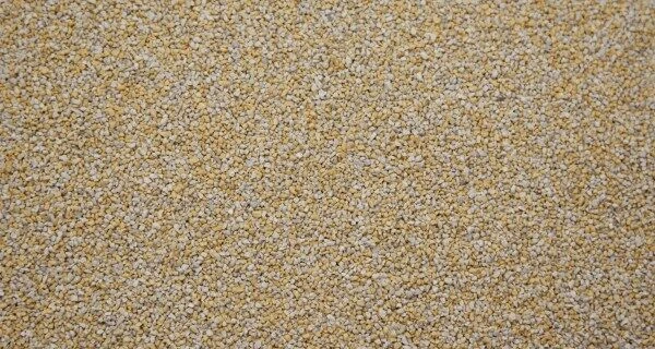 Medium Leopard Gecko Starter Kit - Monkfield Black Vivarium (24") 2 Medium Leopard Gecko Starter Kit - Monkfield Black Vivarium (24") - Image 2