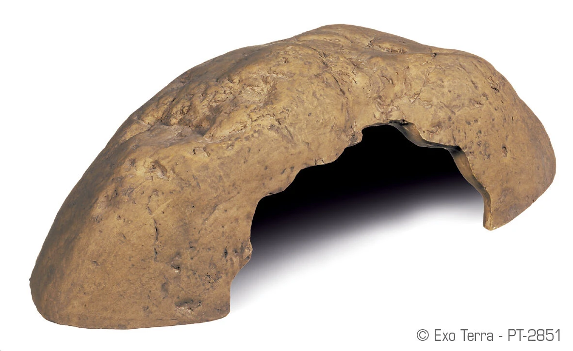 Medium Leopard Gecko Starter Kit - Monkfield Black Vivarium (24") 5 Medium Leopard Gecko Starter Kit - Monkfield Black Vivarium (24") - Image 5