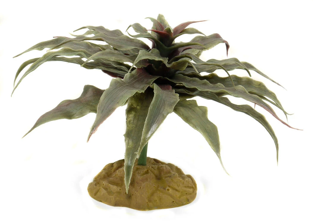 Medium Leopard Gecko Starter Kit - Monkfield Black Vivarium (24") 6 Medium Leopard Gecko Starter Kit - Monkfield Black Vivarium (24") - Image 6