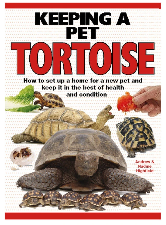 The Pet Express Monkfield Tortoise Table Oak Starter Kit 9 The Pet Express Monkfield Tortoise Table Oak Starter Kit - Image 9