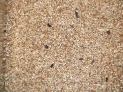 Pettex Mixed Bird Grit Feed 25kg