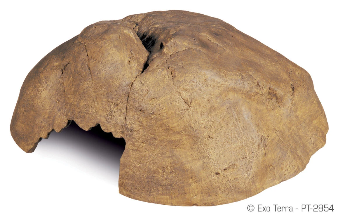 Exo Terra Hide Out Cave X Large 1 Exo Terra Hide Out Cave X Large