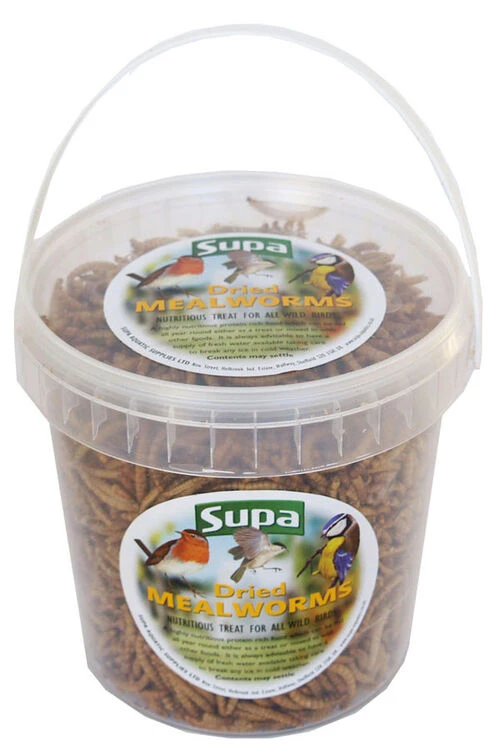 Supa Dried Mealworms 1 Supa Dried Mealworms