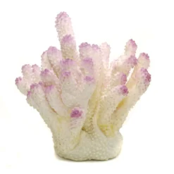 Penn-Plax Ornament Acropora Coral White