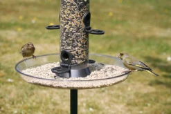 C J Wildlife Feeder Tray Large