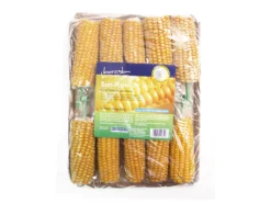 Boredom Breaker Corn On The Cob