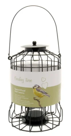 Rosewood Feeding Time Squirrel Proof Seed Lantern