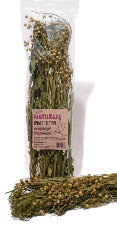 10 X Rosewood Boredom Breaker Natural Treats Harvest Festival 80g 1 10 X Rosewood Boredom Breaker Natural Treats Harvest Festival 80g