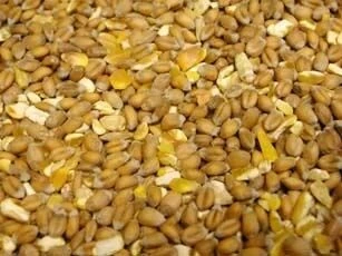 Countrywide Mixed Poultry Corn 20kg 2 Countrywide Mixed Poultry Corn 20kg - Image 2