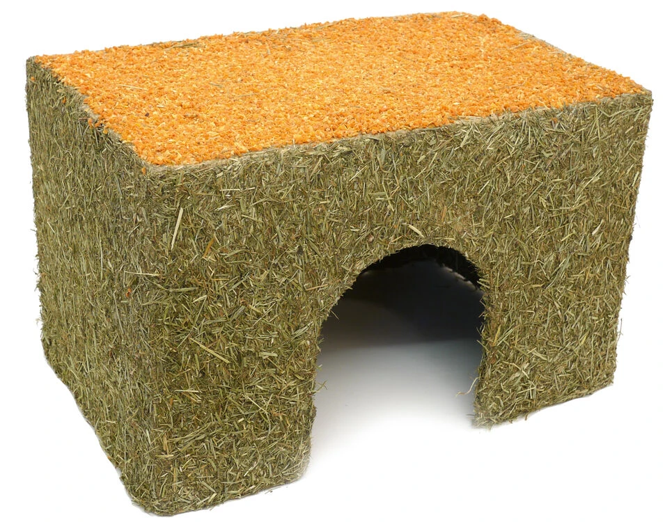 Rosewood Naturals Edible Carrot Cottage Hideaway 1 Rosewood Naturals Edible Carrot Cottage Hideaway