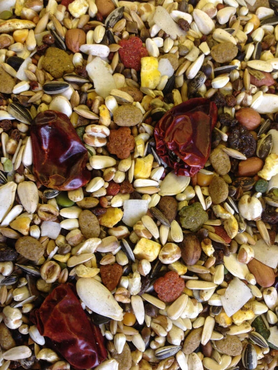 Countrywide VAM Parrot Food With Vitamins & Minerals - 12.5kg 2 Countrywide VAM Parrot Food With Vitamins & Minerals - 12.5kg - Image 2