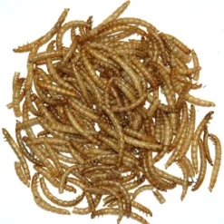 Albert E James Dried Mealworms 12.55kg
