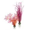 Biorb Easy Plant Red/pink Medium 2pack