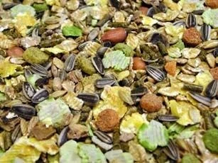 Albert E James Country Wide Hamsters And Gerbil Mix 20kg 1 Albert E James Country Wide Hamsters And Gerbil Mix 20kg