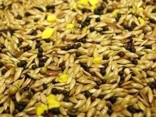 Willsbridge Deluxe Canary Seed Mixture 20kg 2 Willsbridge Deluxe Canary Seed Mixture 20kg - Image 2