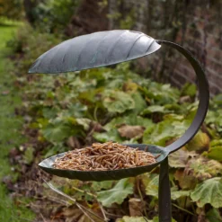 Peckish Natural Mealworm Treats Bird Feed 1kg -PetNest Shop 69511