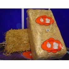 Animal Dreams Straw Bale Giant