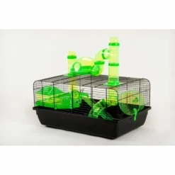 Classic Landmark Cage Green