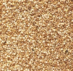 Johnston & Jeff Foreign Finch Seed -PetNest Shop 8095