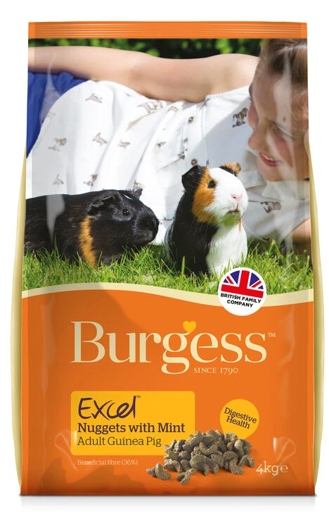 Burgess Excel Adult Guinea Pig Nuggets With Mint 1 Burgess Excel Adult Guinea Pig Nuggets With Mint