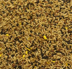 Bartholomews Colonels® Canary No. 2 Bird Seed Mix 20kg