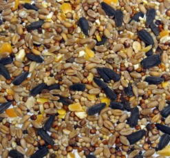 Bartholomews Colonels® Xtra Plus Aniseed Wild Bird Food Seed Mix 20kg