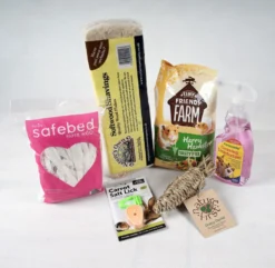 The Pet Express Habitrail OVO Habitat Dwarf Hamster Starter Kit 9 The Pet Express Habitrail OVO Habitat Dwarf Hamster Starter Kit -PetNest Shop Copy of DSC00072