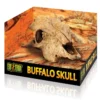 Exo Terra Terrarium Buffalo Skull
