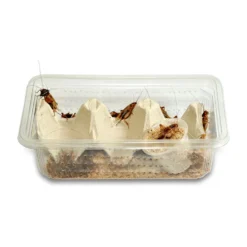 HabiStat Insecta Shot, Refill Bag, 30 Pots -PetNest Shop HMIS1RB2