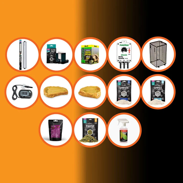 HabiStat Bearded Dragon Accessory Kit 2 HabiStat Bearded Dragon Accessory Kit - Image 2