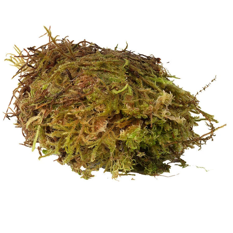 HabiStat Sphagnum Moss 1 HabiStat Sphagnum Moss