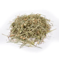 Nature's Own Sweet Green Guinea Pig Food -PetNest Shop TER3758