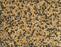 Johnston & Jeff Selected Standard Wild Bird Feed 7 Johnston & Jeff Selected Standard Wild Bird Feed -PetNest Shop WILD BIRD 2