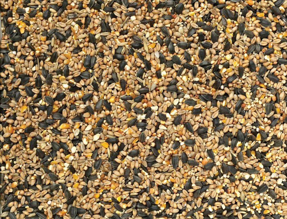 Johnston & Jeff Selected Standard Wild Bird Feed 4 Johnston & Jeff Selected Standard Wild Bird Feed - Image 4