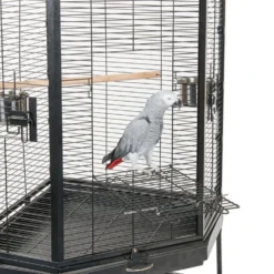 Sky Pet Products Liberta Alaska Corner Parrot Cage
