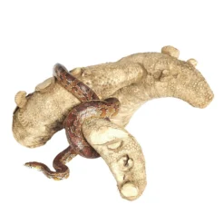 Sky Pet Products Spider Root Large