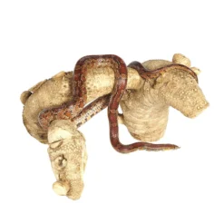 Sky Pet Products Spider Root Medium