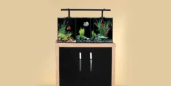 Aqua One Trio Glass Aquarium