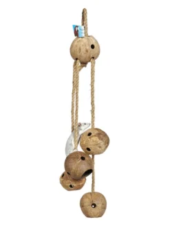 Sky Pet Products Big Coco Balls Bird Toy