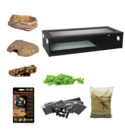 Royal/Ball Python Extra Large Monkfield Vivarium Starter Kit - Black (36")