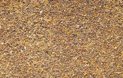 Johnston & Jeff Chicken Corn Extra With Oyster Shell Grit