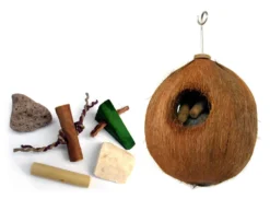 Sky Pet Products Java Coco Full Moon Large Bird Toy