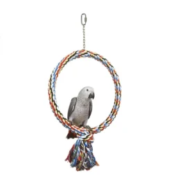 Sky Pet Products Coloured Ring Bird Toy