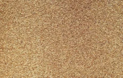 Johnston & Jeff Foreign Finch Seed 20kg -PetNest Shop finch 2