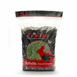 Friendly Alfalfa Readigrass For Small Animals