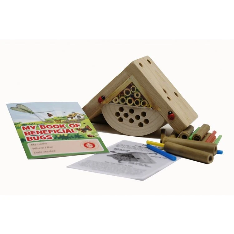 Wildlife World Minibugs Bobby's Bug Box 1 Wildlife World Minibugs Bobby's Bug Box