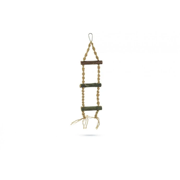Beeztees Bird Swing Ladder 1 Beeztees Bird Swing Ladder